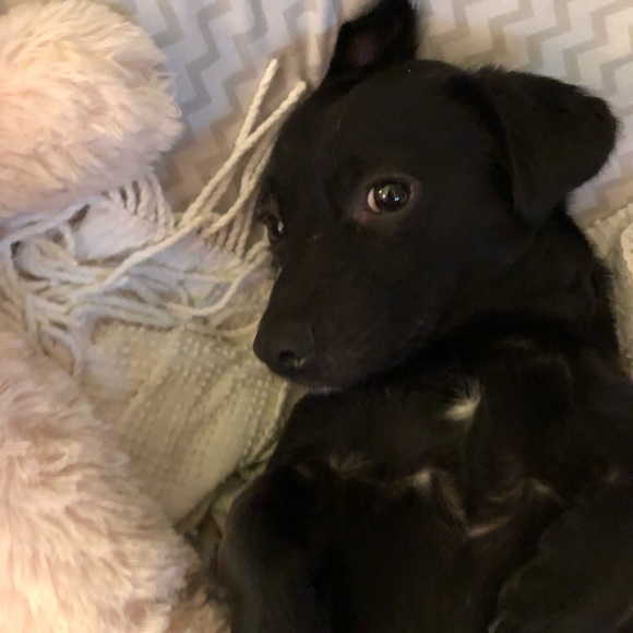 Shop in the Name of Love - Picture 2 of 7